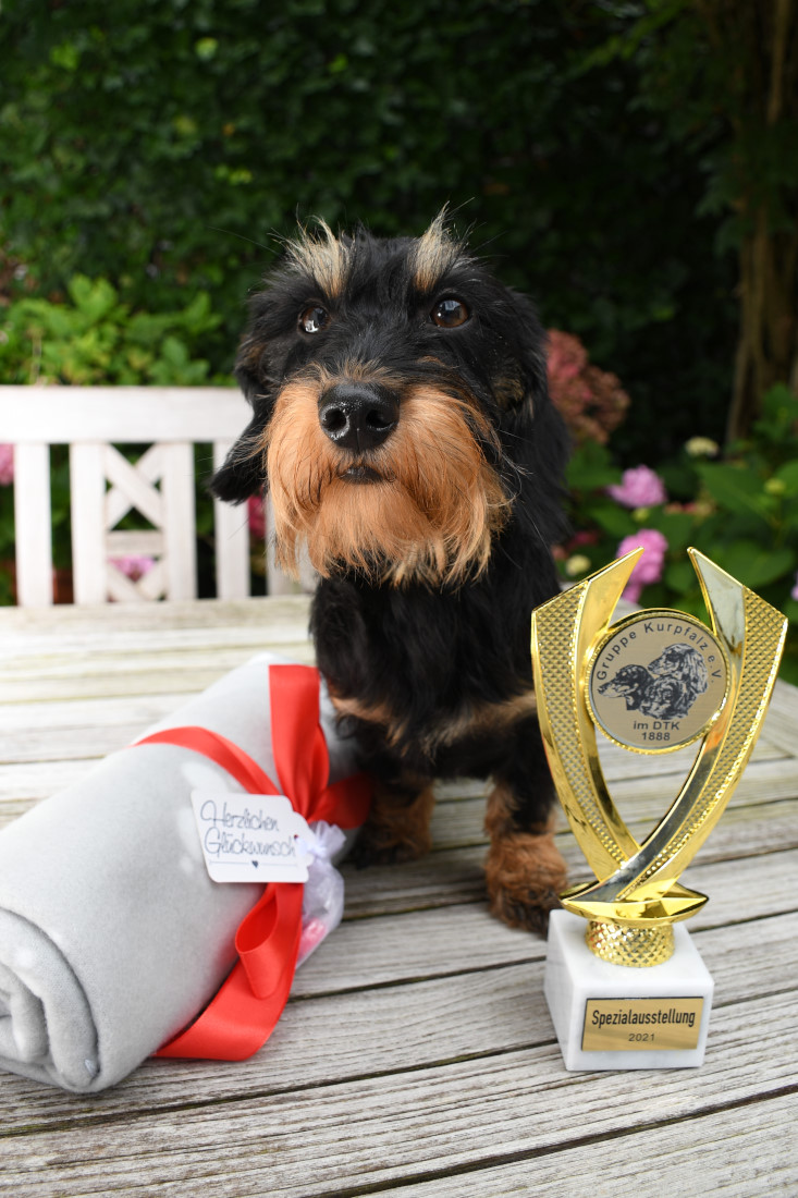 Spezial-Ausstellung Rheinland/Pfalz - Saarland