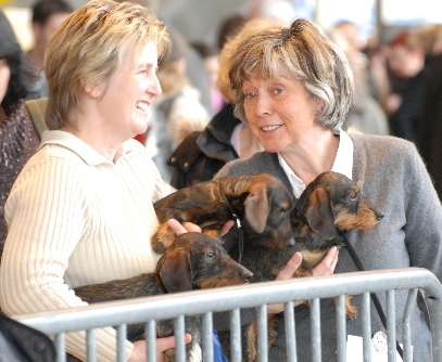 Int. Hundeausstellung (IHA) 2009 - Olympiahalle München