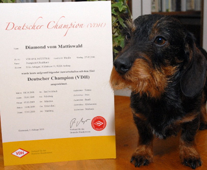 Deutscher Champion (VDH) 2010