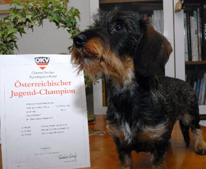 Österreichischer Jugend-Champion 2010