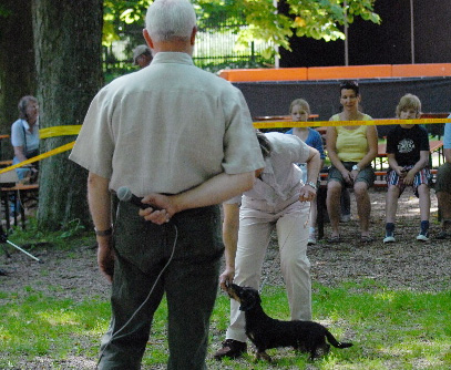 Zuchtschau im Prüfeninger Schloßgarten in Regensburg
