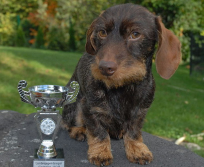 Landessieger-Ausstellung Leipzig