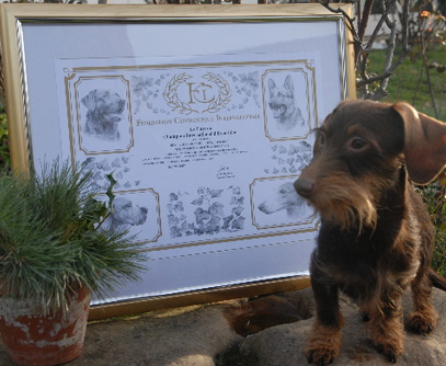 Champion International d'Exposition C.I.E. 2012