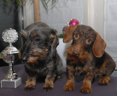 Spezialausstellung LV Rheinland-Pfalz der Gruppe Dierdorf in Kleinmaischeid