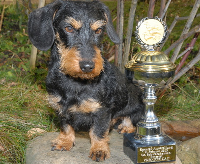 Spezialausstellung LV Thüringen in Leinatal-Leina / Gotha