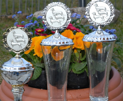 Ehrenpreise der Sektion Nürnberg im Dachshund-Club-Nordbayern e.V. (DCN)