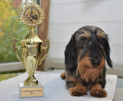 Landessieger - Ausstellung Sachsen in Leipzig