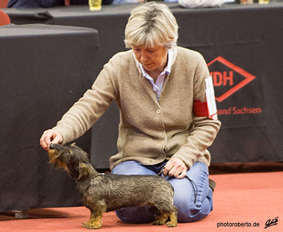 Int. Rassehundeausstellung Chemnitz 2017