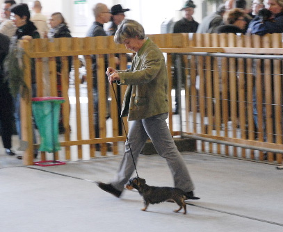 Spezialzuchtschau in Dresden